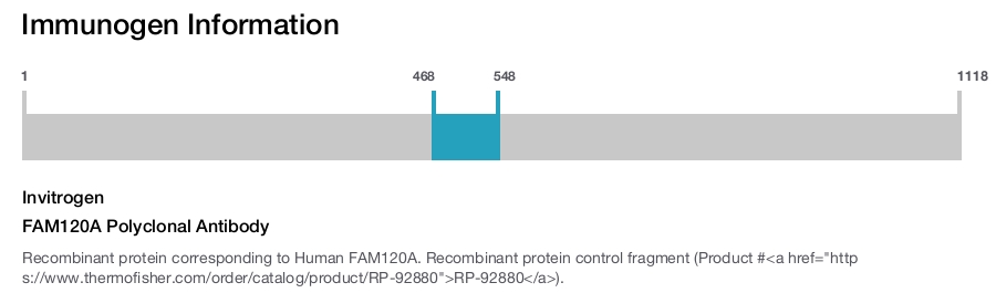 FAM120A Polyclonal Antibody