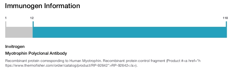 Myotrophin Polyclonal Antibody