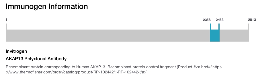 AKAP13 Polyclonal Antibody