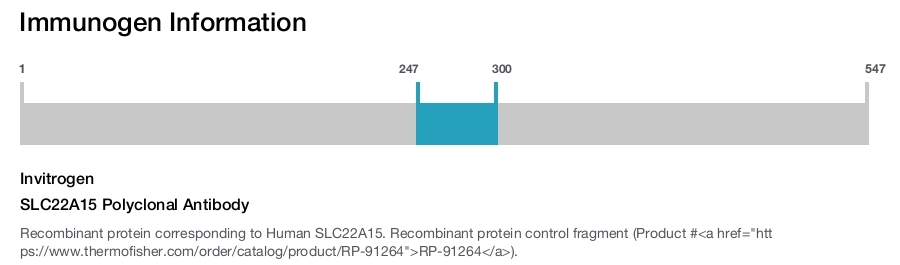 SLC22A15 Polyclonal Antibody