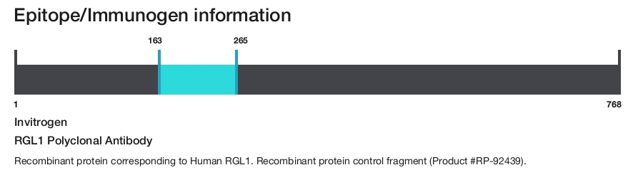 RGL1 Polyclonal Antibody