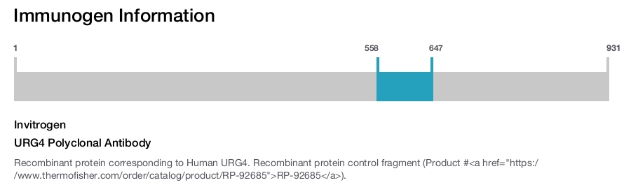 URG4 Polyclonal Antibody