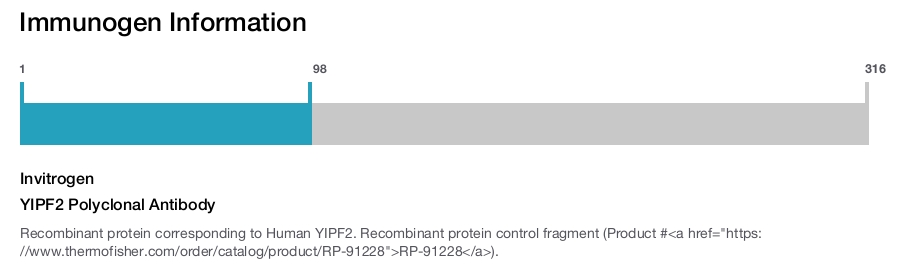 YIPF2 Polyclonal Antibody