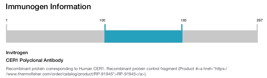 CER1 Polyclonal Antibody