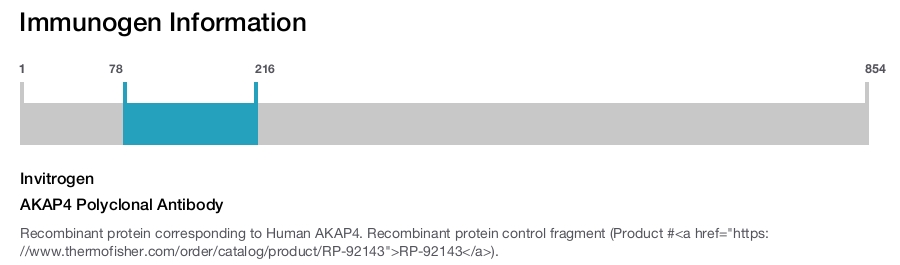 AKAP4 Polyclonal Antibody