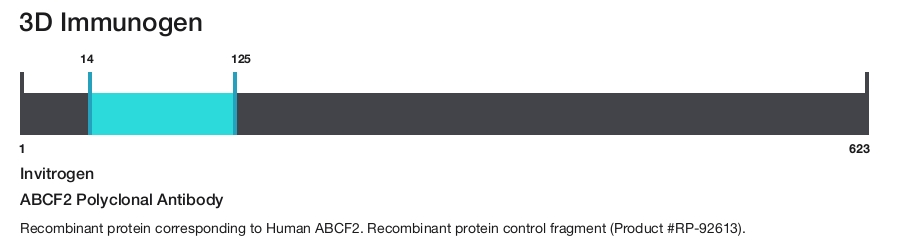 ABCF2 Polyclonal Antibody
