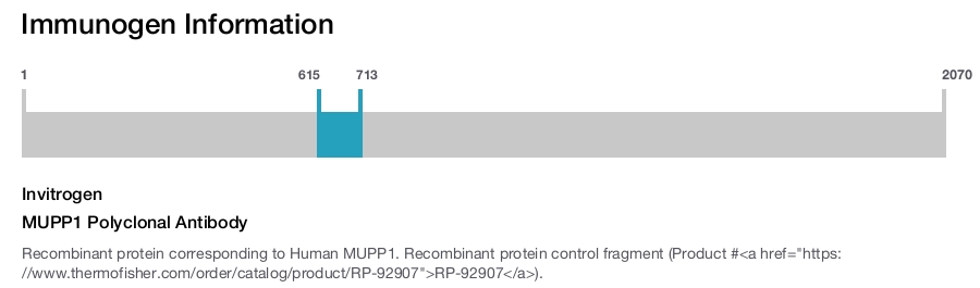 MUPP1 Polyclonal Antibody