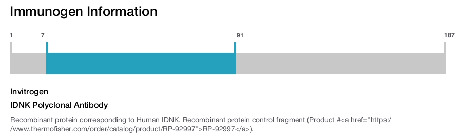 IDNK Polyclonal Antibody