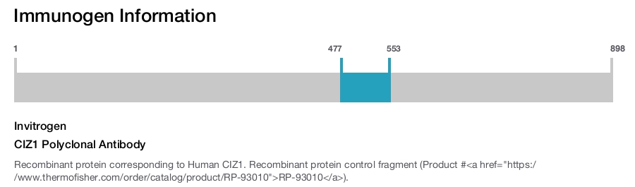 CIZ1 Polyclonal Antibody