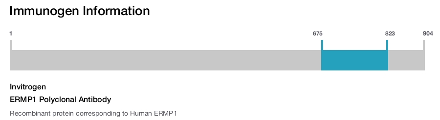 ERMP1 Polyclonal Antibody