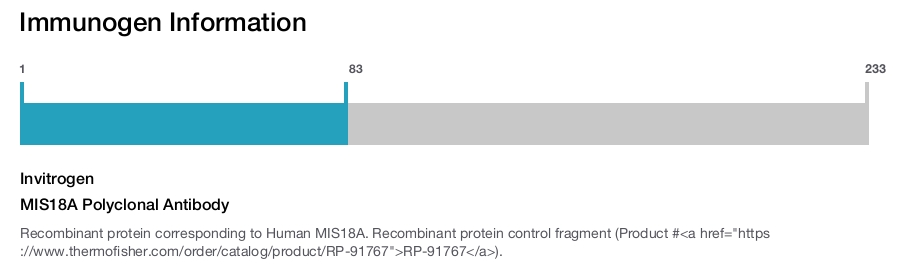 MIS18A Polyclonal Antibody