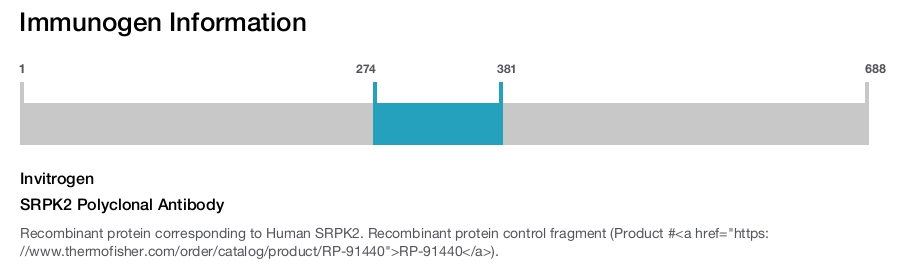 SRPK2 Polyclonal Antibody