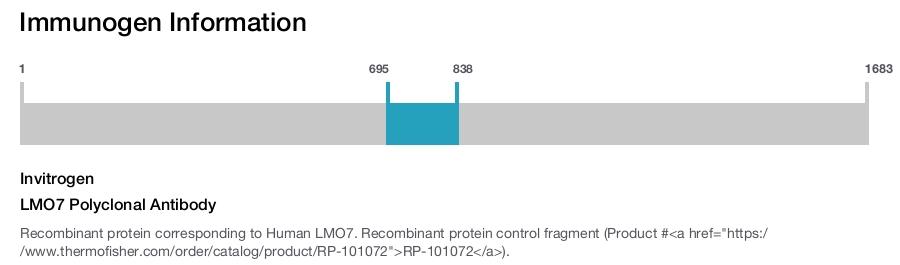 LMO7 Polyclonal Antibody