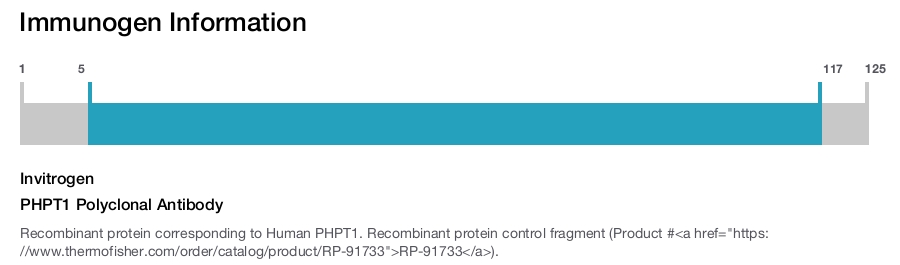 PHPT1 Polyclonal Antibody
