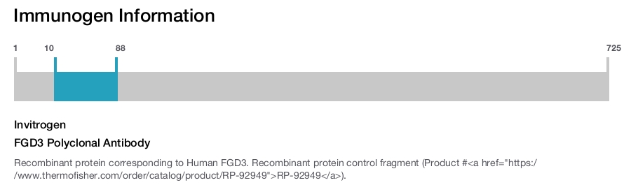 FGD3 Polyclonal Antibody