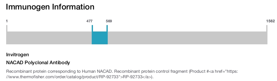 NACAD Polyclonal Antibody