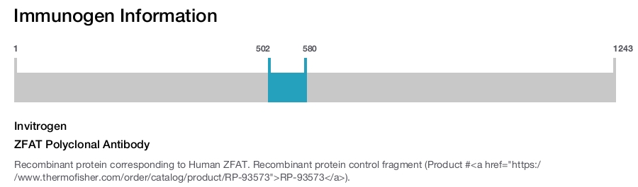 ZFAT Polyclonal Antibody