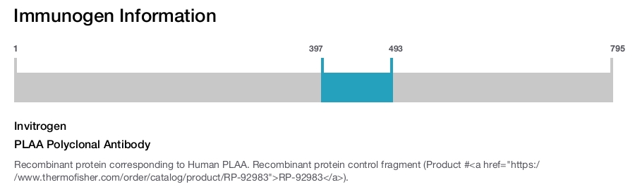 PLAA Polyclonal Antibody