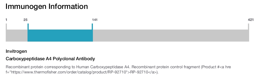Carboxypeptidase A4 Polyclonal Antibody