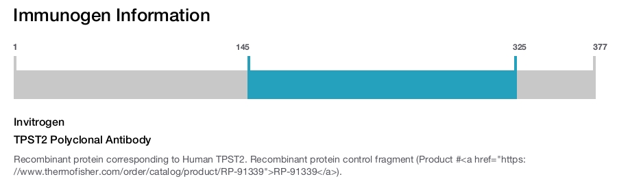 TPST2 Polyclonal Antibody