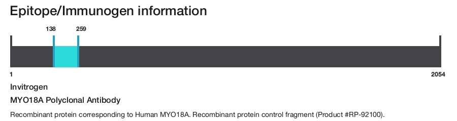 MYO18A Polyclonal Antibody