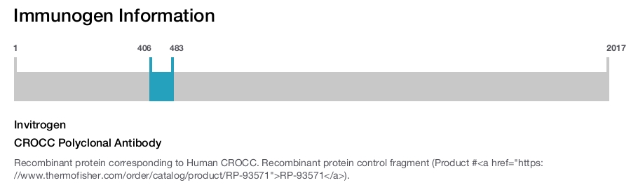 CROCC Polyclonal Antibody