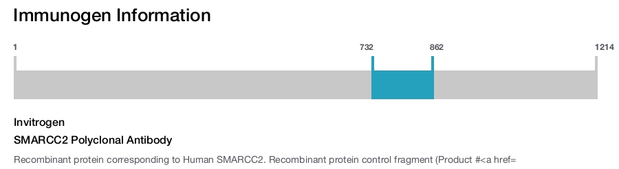 SMARCC2 Polyclonal Antibody