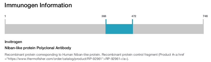 Niban-like protein Polyclonal Antibody