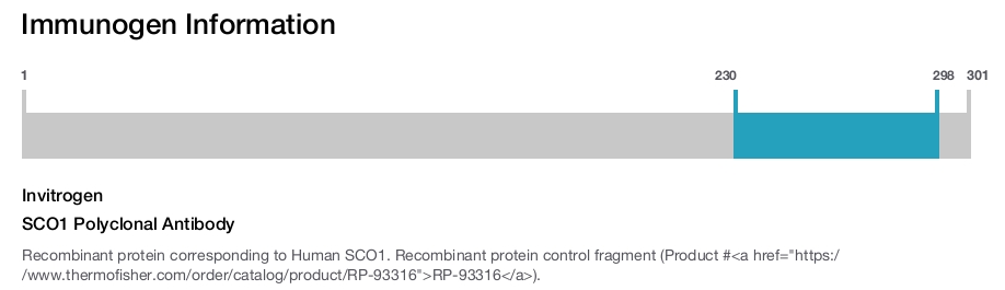 SCO1 Polyclonal Antibody