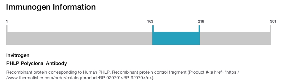 PHLP Polyclonal Antibody