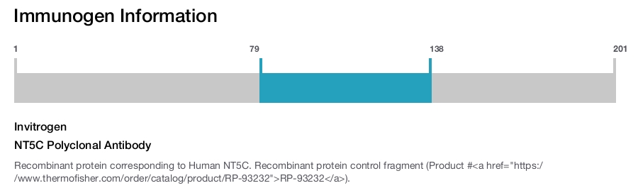 NT5C Polyclonal Antibody