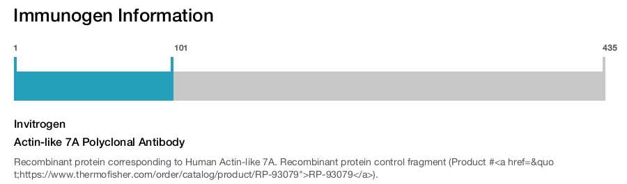 Actin-like 7A Polyclonal Antibody