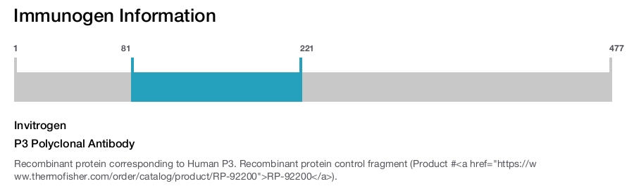 P3 Polyclonal Antibody