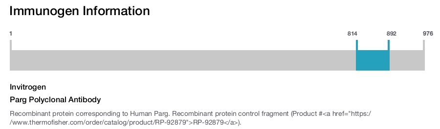 Parg Polyclonal Antibody