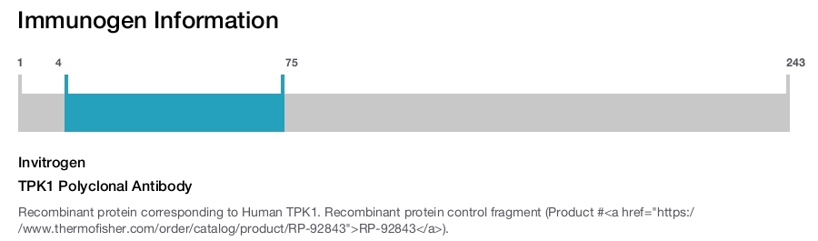 TPK1 Polyclonal Antibody