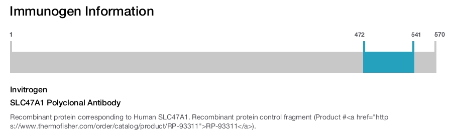 SLC47A1 Polyclonal Antibody