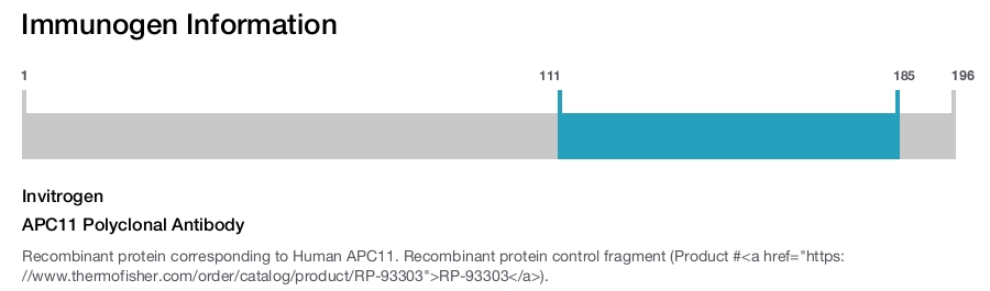 APC11 Polyclonal Antibody