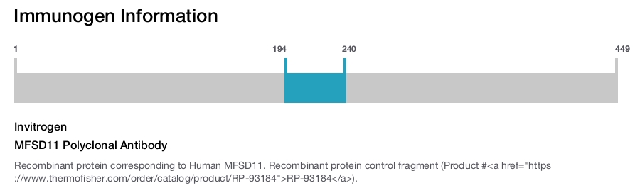 MFSD11 Polyclonal Antibody