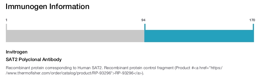 SAT2 Polyclonal Antibody