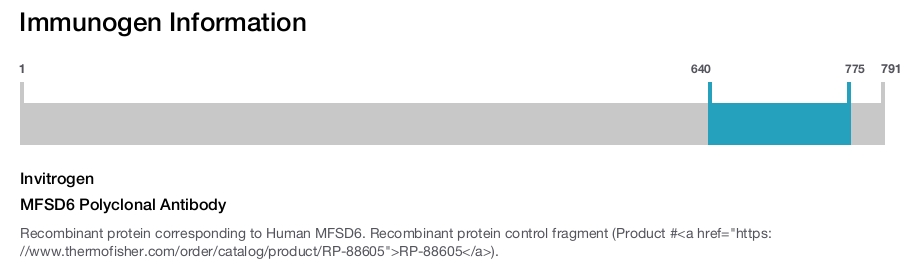 MFSD6 Polyclonal Antibody