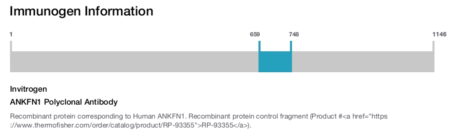 ANKFN1 Polyclonal Antibody