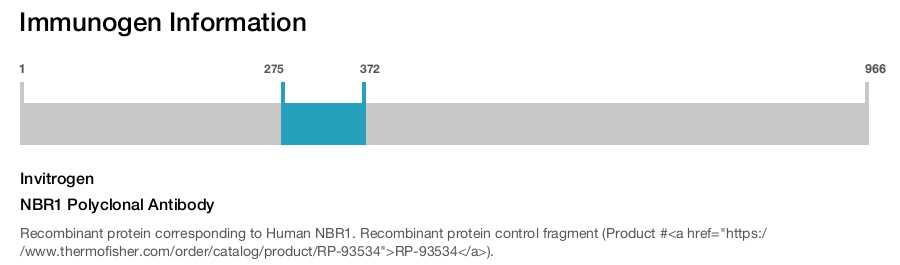 NBR1 Polyclonal Antibody