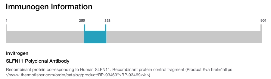 SLFN11 Polyclonal Antibody