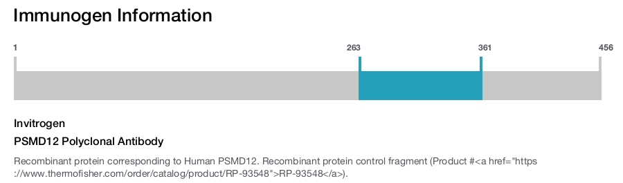 PSMD12 Polyclonal Antibody