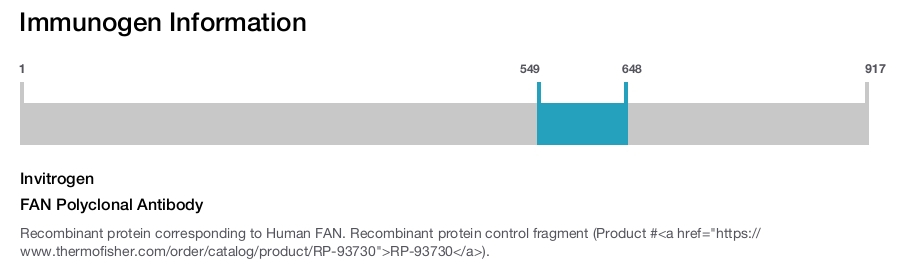 FAN Polyclonal Antibody
