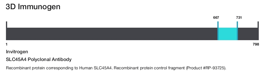 SLC45A4 Polyclonal Antibody