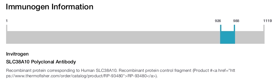 SLC38A10 Polyclonal Antibody