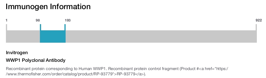 WWP1 Polyclonal Antibody