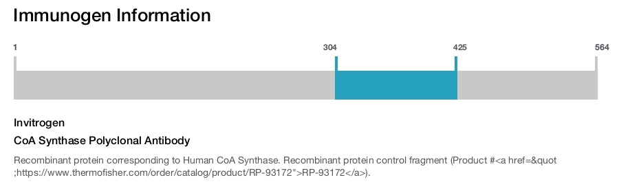 CoA Synthase Polyclonal Antibody