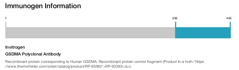 GSDMA Polyclonal Antibody
